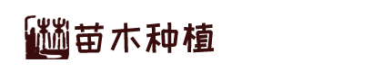 凯时kb88官方