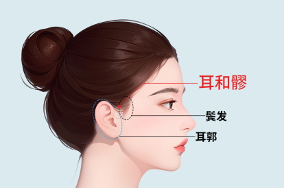 耳和髎的准确位置图片